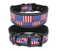 Collar Reflectante for Perro de 10 Colores, con Hebilla Ajustable, for Perros pequeños, medianos y Grandes, con Correa y Cadena. Collar de Perro Grande(Black Line,L)
