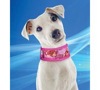 Aqua Coolkeeper Collar Roses L