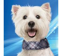 Collar Refrigerante para Perros