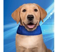 Collar Refrigerante para Perros