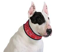 Collar Refrigerante para Perros