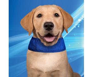 Collar Refrigerante para Perros