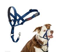 Collar Ronzal HALTI - para Evitar Que tu Perro Tire de la Correa, Ajustable con Banda de Nariz Acolchada. Adiestramiento canino antitirones Collar para Perros medianos (Talla 2, Azul Cobalto)