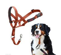 Company of Animals Collar Ronzal HALTI, Ajustable con Banda de Nariz Acolchada. Adiestramiento canino antitirones Company of Animals Collar para Perros Grandes (Talla 4, Naranja Quemada)