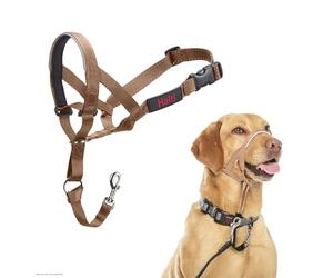 Collar Ronzal HALTI - para Evitar Que tu Perro Tire de la Correa, Ajustable con Banda de Nariz Acolchada. Adiestramiento canino antitirones Collar para Perros medianos (Talla 3, Arena del Desierto)