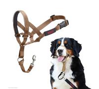 Collar Ronzal Halti | Tamaño 4, Arena del Desierto | Para evitar que tu perro tire de la correa, Ajustable y Ligero. Adiestramiento canino antitirones collar para perros grandes