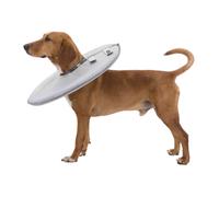 Collar Trixie Active con aplicaciones/cupridas S: 31-37 cm/16 mm, marrón oscuro