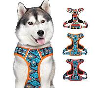 CollarDirect Arnés reflectante para perro con asa y clip frontal, chaleco acolchado suave ajustable para perros pequeños a grandes (talla L, patrón PT3)