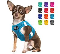 CollarDirect Arnés Reflectante para Perro, Malla de Aire para Cualquier Clima, para Perros pequeños y medianos, fácil de Poner y Quitar (Talla M, Azul Claro)