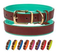 CollarDirect Collar de Piel para Perro, Hebilla de latón, Suave Acolchado, Cachorro pequeño, Mediano, Grande, Rojo, Rosa, Azul, Verde, Naranja, Morado, Amarillo