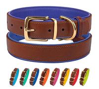 CollarDirect Collar de piel para perro, hebilla de latón, suave acolchado, cachorro pequeño, mediano, grande, rojo, rosa, azul, verde, naranja, morado, amarillo