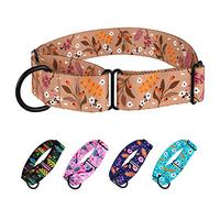 CollarDirect Martingale Collares para Perros, diseño de Flores de Nailon de Seguridad para Mujer, diseño de Flores, tamaño Grande, Mediano