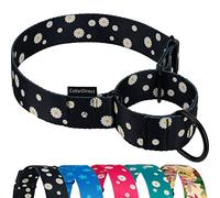 CollarDirect Martingale - Collares para perros, resistentes con patrón floral de seguridad femenina, de nailon, cuello ancho, diseño de flores, grande, mediano (M, tamaño del cuello 12-17 pulgadas,