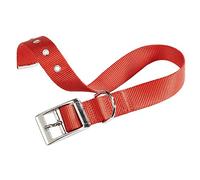 Collare cane cani nylon fibbia metallo FERPLAST CLUB CF vari colori misure