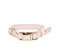 Collare in similpelle con fibbia in metallo London per cani Record