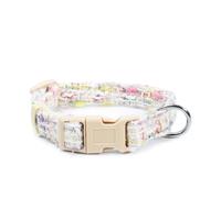 Collare in tweed con fibbia in metallo Mademoiselle per cani Record