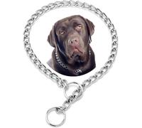 Collares de cadena para perro, collar de metal plateado XXS para entrenamiento de eslabones deslizantes, collar de perro resistente Martingala para perros de raza XXS XS, S, S, M, L, grande, XL