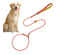 Collares De Entrenamiento - Correa Antideslizante Anti-Escape, Collares De Ajustables | Arnés De Cuello Para Perro De Tamaño Mediano, Cuello De Tracción Para Mascotas Para Dioses