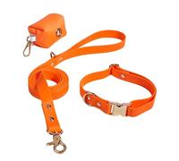 Collares para cachorros - Conjunto de collares para perros, collar para perros y juego de correa | Collares para mascotas ajustables prácticos con soporte de bolsa de , collie