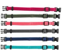 Collares para cachorros Junior Set 17-25 cm/10 mm fucsia, grafito, índigo, verde bosque, avellana, océano