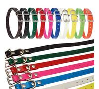 Arcea Polytec Collar para Perro, Azul eléctrico, 16 mm