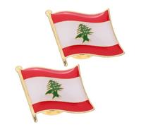 COLLBATH 2 Piezas Broche de metal patriótico recuerdo para bufanda Pin de solapa con mapa del Líbano pin redondo de solapa de bandera de líbano bandera de la paz del líbano aleación