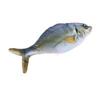 COLLBATH 2piezas Juguete De Simulación De Pez Eléctrico USB Juguete De Pez De Peluche para Gatos Saltarín Divertido para Gatitos Atún Perca