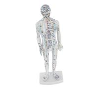 COLLBATH Modelo de Acupuntura en Plastico Blanco Simulación Realista del Cuerpo y Guía de Localización de Puntos para Estudiantes y Profesionales en Aulas y Clínicas