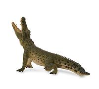 Collecta – Collecta