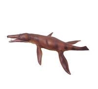 Collecta
