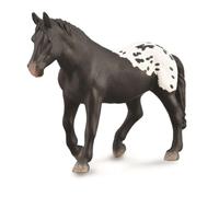 Collecta