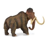 Collecta
