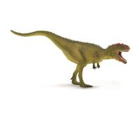 Collecta