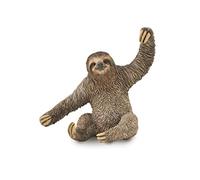 Collecta