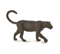 Collecta