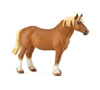 Collecta