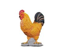 Collecta