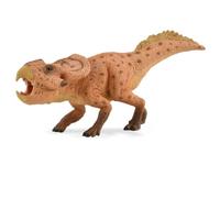 Collecta