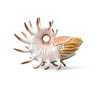 Collecta