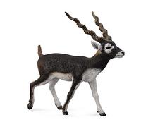 Collecta - Antilope De Cuello Negro (Sasin) -L- 88638 (90188638)