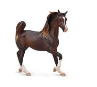 Collecta – Collecta
