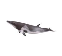 Collecta - Ballena Minke (88862)