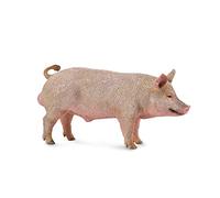 Collecta - Cerdo macho (88864)