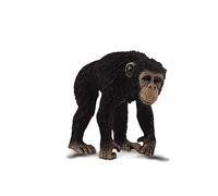 Collecta - Chimpance Hembra -M- 88493 (90188493)