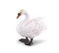 Collecta - Cisne -M- 88211 (90188211)