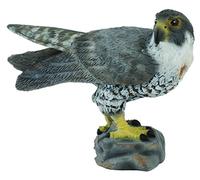 Collecta-COL88399 Halcón Figura de colección (COL88399)