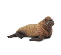Collecta - Cría de Morsa - Figura Coleccionable - Tamaño M - (Deqube 90188570)