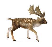 Collecta - Gamo Europeo Macho - L - 88685 (90188685)