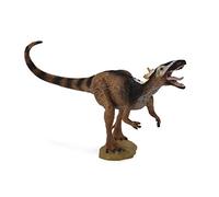 Collecta