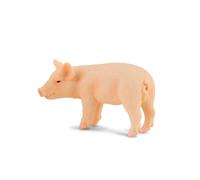 CollectA Figura coleccionable de lechón, réplica de animal realista, pequeña, a